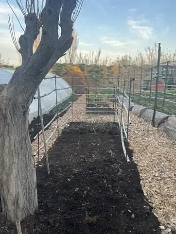 Compost prêt à l'emploi produit sur la plateforme Sud Élagages