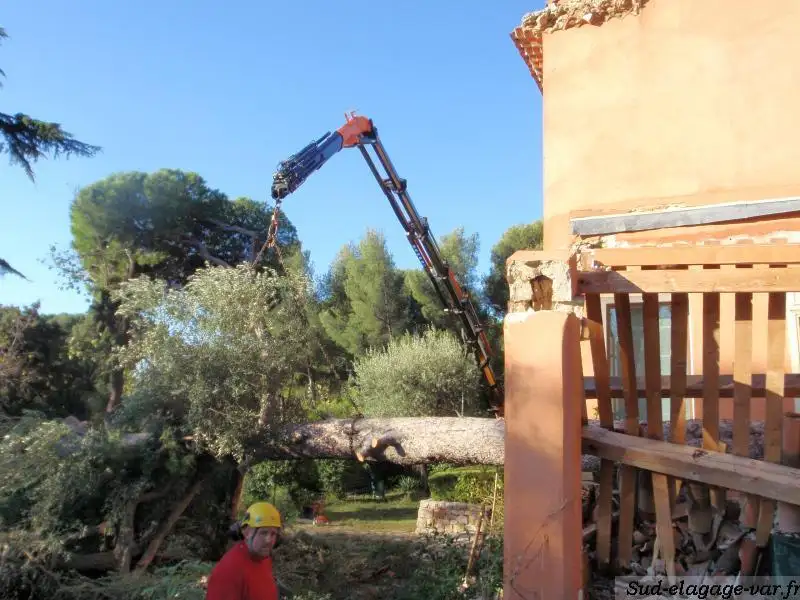 Camion-grue évacuant le tronc d'un arbre tombé contre une habitation